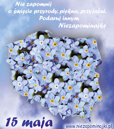 Dzień Polskiej Niezapominajki