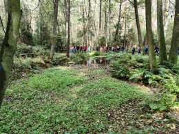 IMG 20201010 WA0046