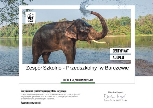 Certyfikat adopcji słonia indyjskiego
